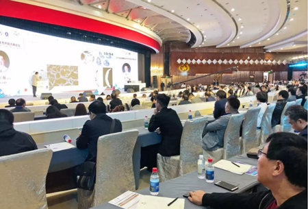 谈骨论经 2019年度秦岭关节大师论坛在古都西安召开
