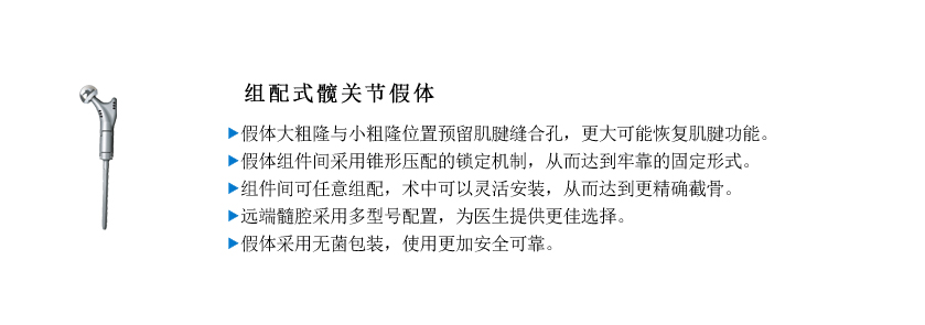 组配髋关节.jpg