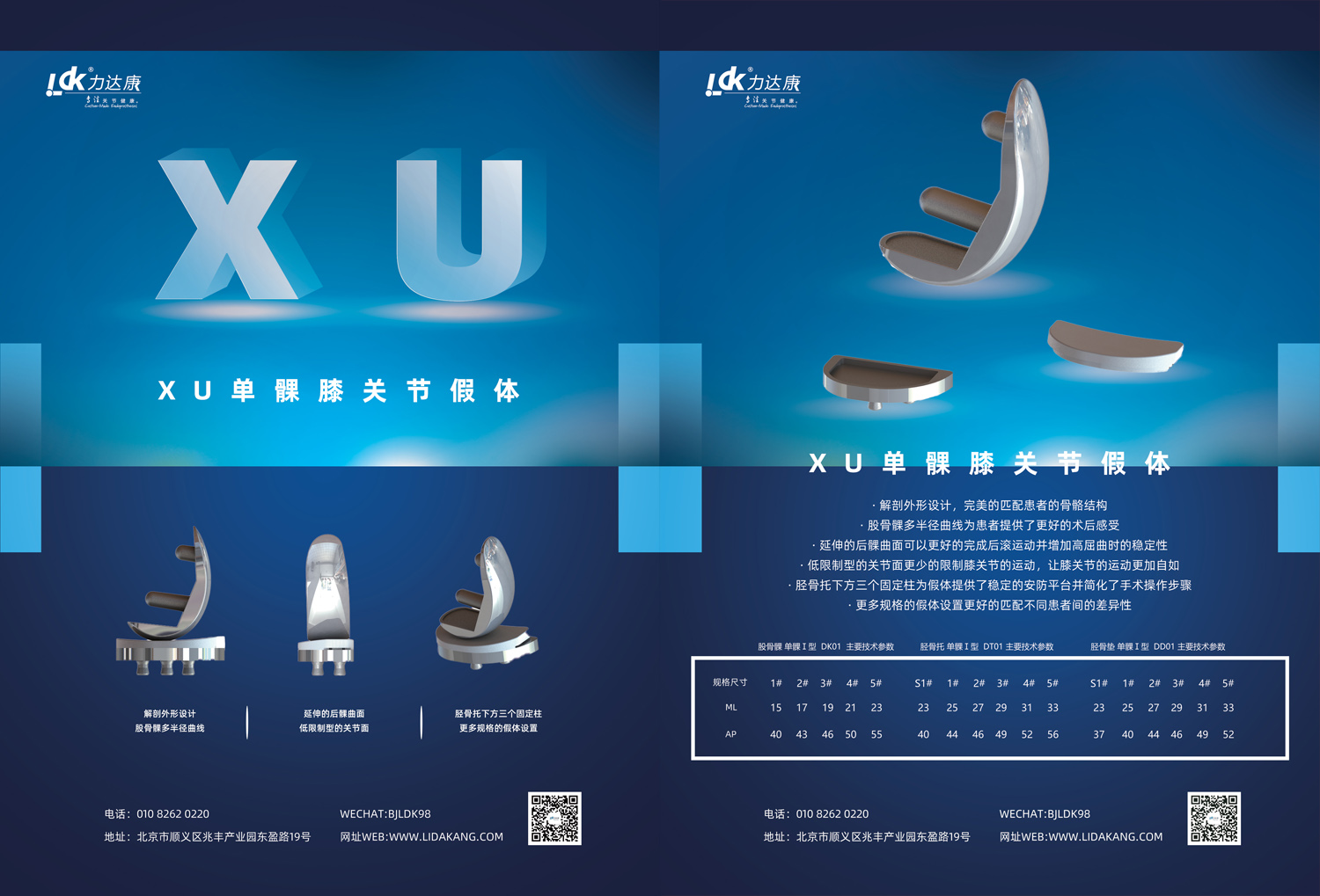 单髁正.jpg